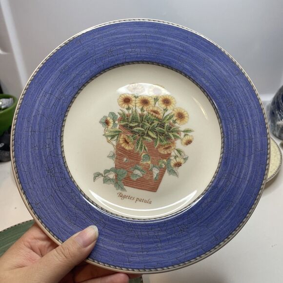 Set of 4 Wedgwood Sarah's Garden Salad Plates - One of Each Color 8 1/4” - Picture 5 of 14